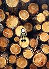 Bild: Holzstapel – Klick zum Vergrößern