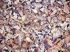 Bild: Herbstbl&auml;tter 02&nbsp;&ndash; Klick zum Vergr&ouml;&szlig;ern