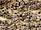 Bild: Insektenhotel&nbsp;&ndash; Klick zum Vergr&ouml;&szlig;ern