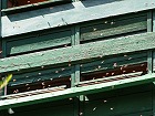 Bild: Bienenstock 02&nbsp;&ndash; Klick zum Vergr&ouml;&szlig;ern