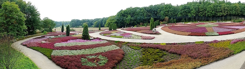 Lüneburger Heidegarten (Deutschland)